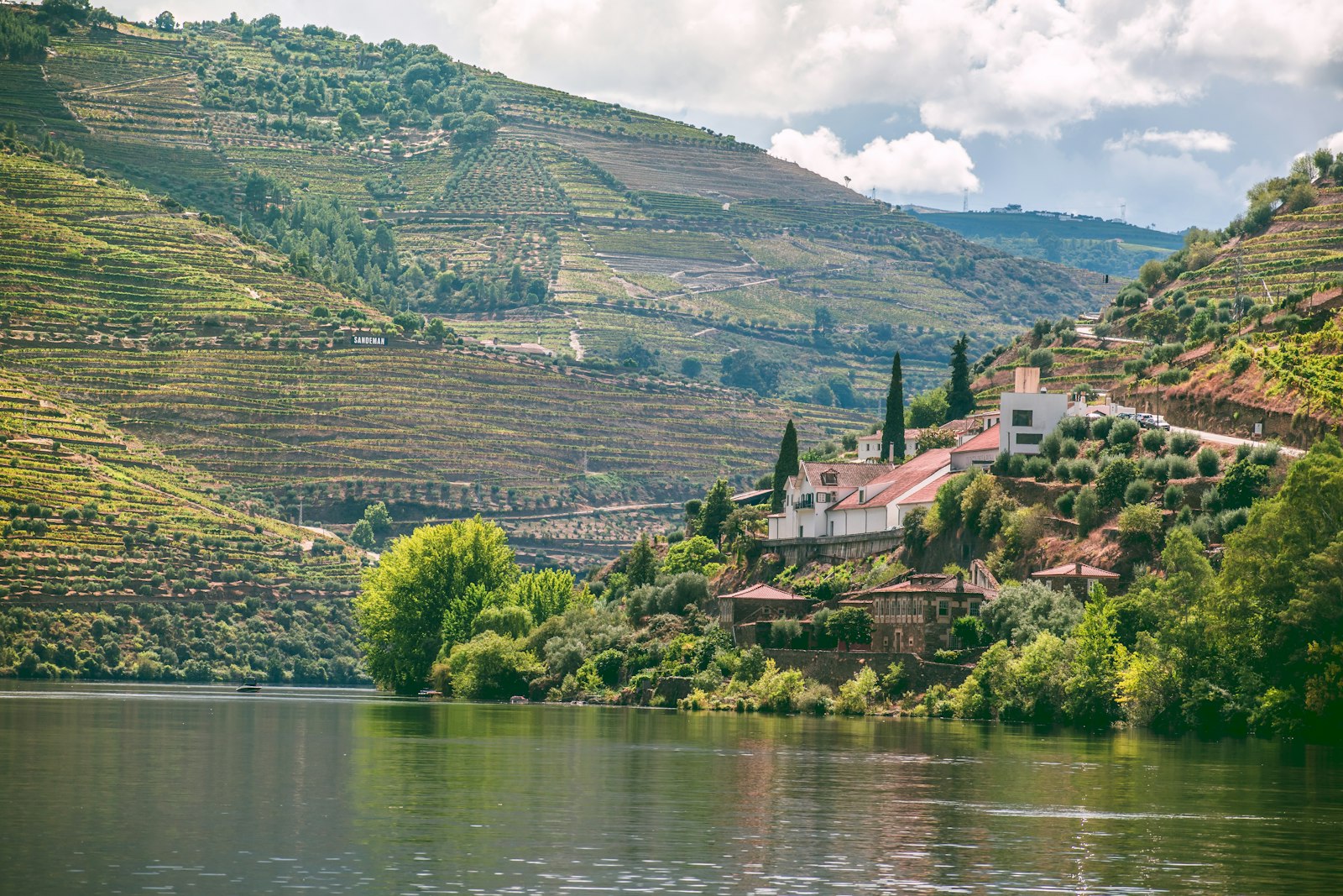 Terraced vineyards along the Douro at Quinta de la Rosa in Pinhão