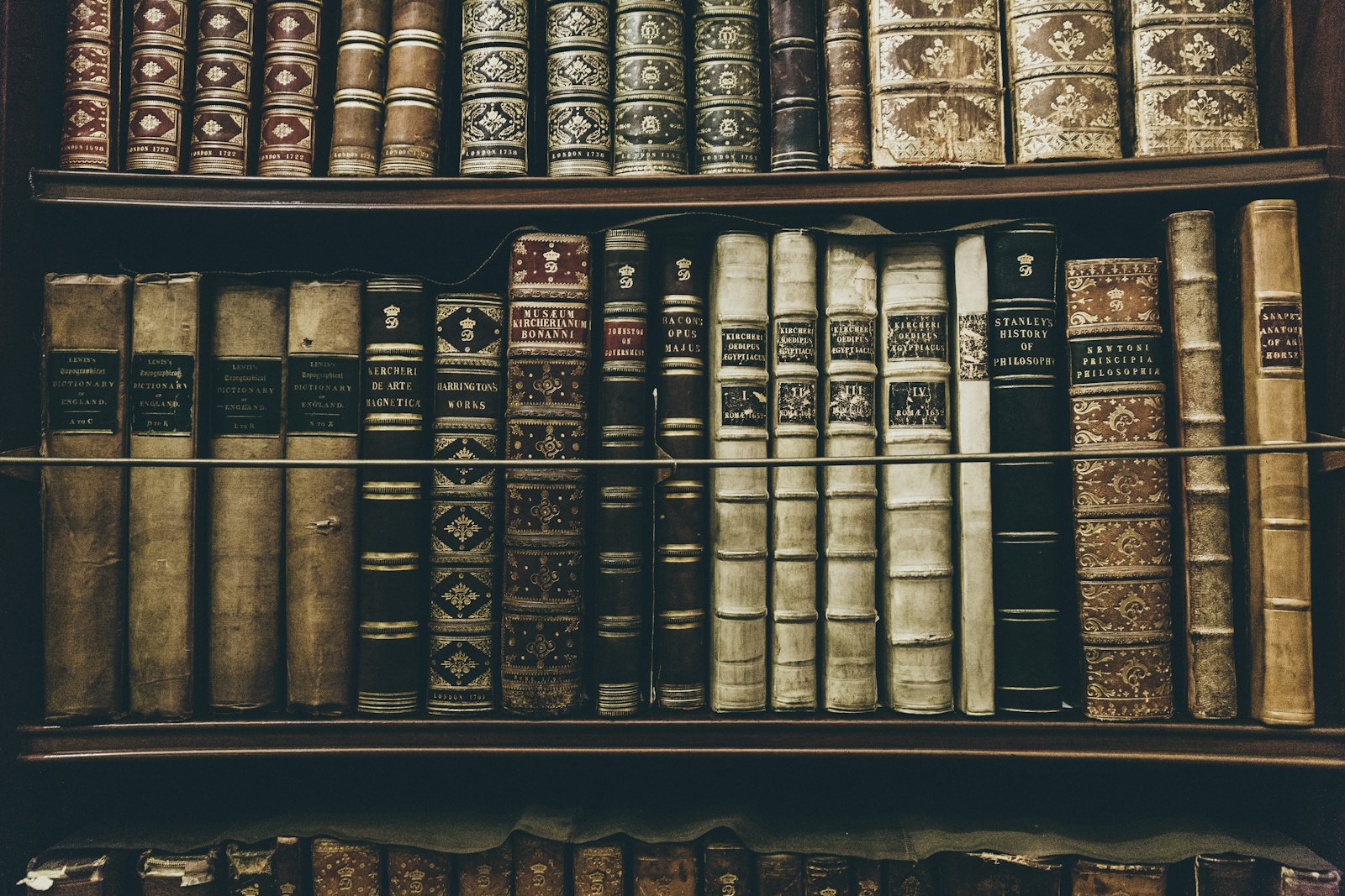 Rows of bound volumes in a quiet library